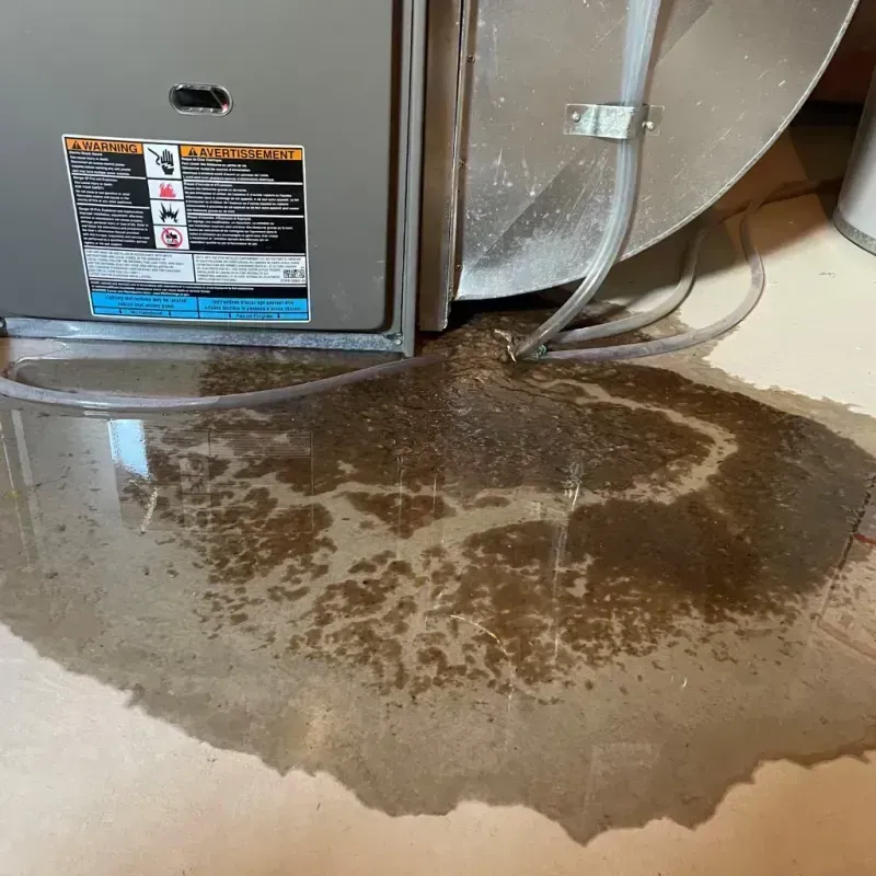 Appliance Leak Cleanup in Hoyt Lakes, MN